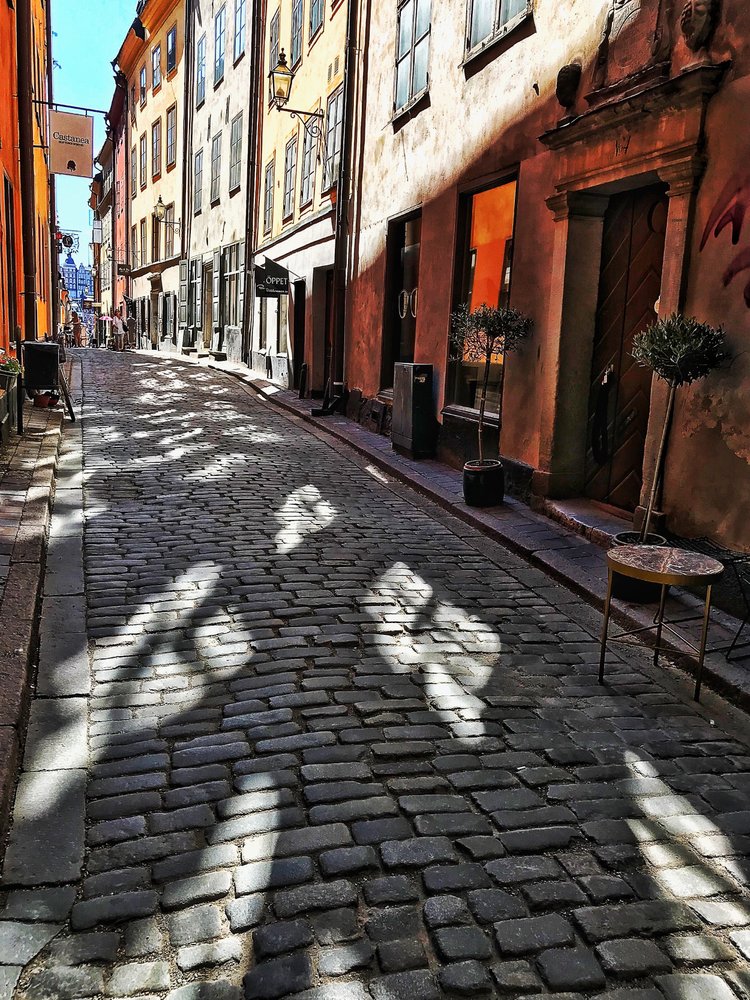 Shadow and Light